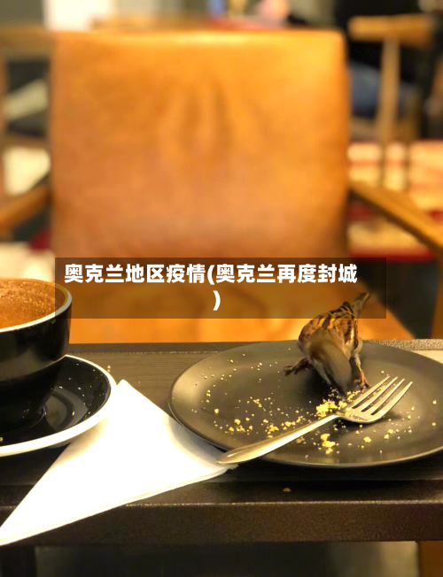 奥克兰地区疫情(奥克兰再度封城)