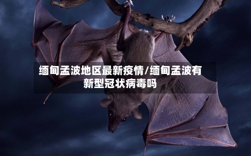缅甸孟波地区最新疫情/缅甸孟波有新型冠状病毒吗