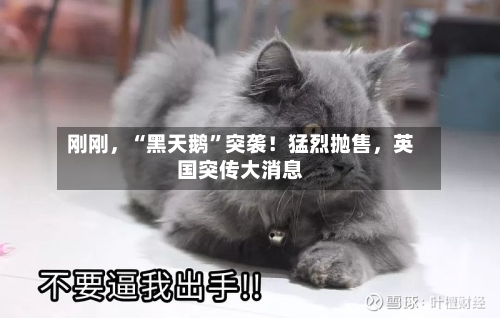 刚刚,“黑天鹅”突袭!猛烈抛售,英国突传大消息