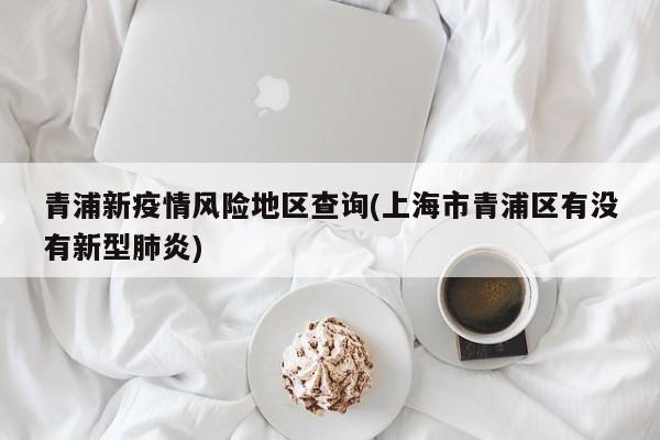 青浦新疫情风险地区查询(上海市青浦区有没有新型肺炎)