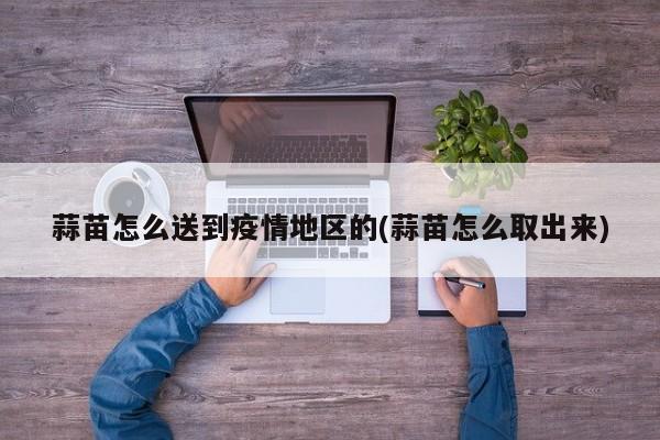 蒜苗怎么送到疫情地区的(蒜苗怎么取出来)